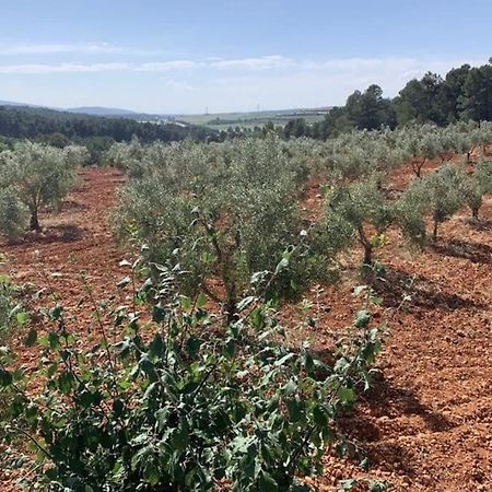 فيلا El-Cortijo Siete Aguas المظهر الخارجي الصورة