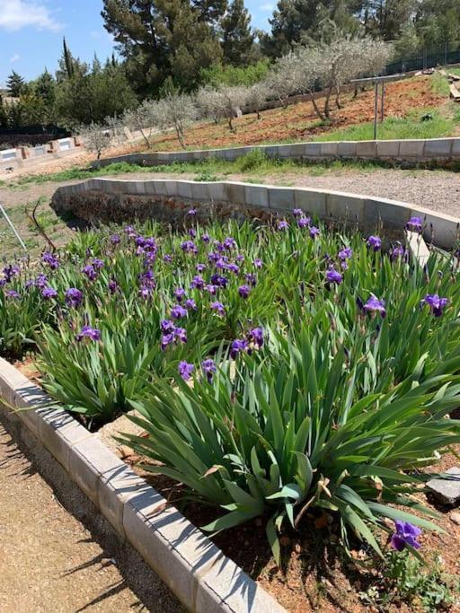فيلا El-Cortijo Siete Aguas المظهر الخارجي الصورة