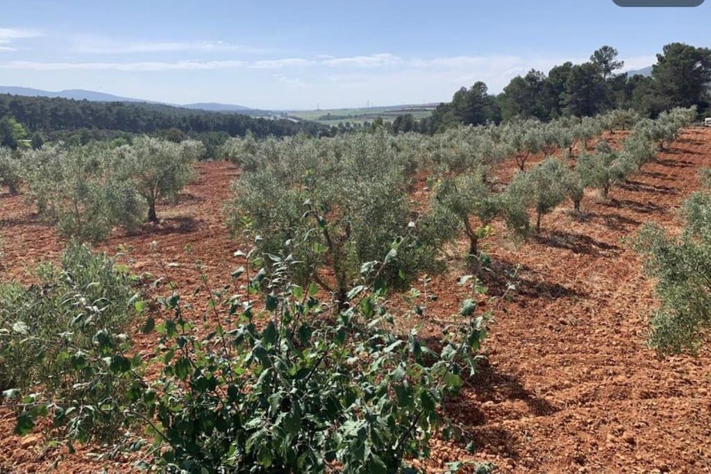 فيلا El-Cortijo Siete Aguas المظهر الخارجي الصورة