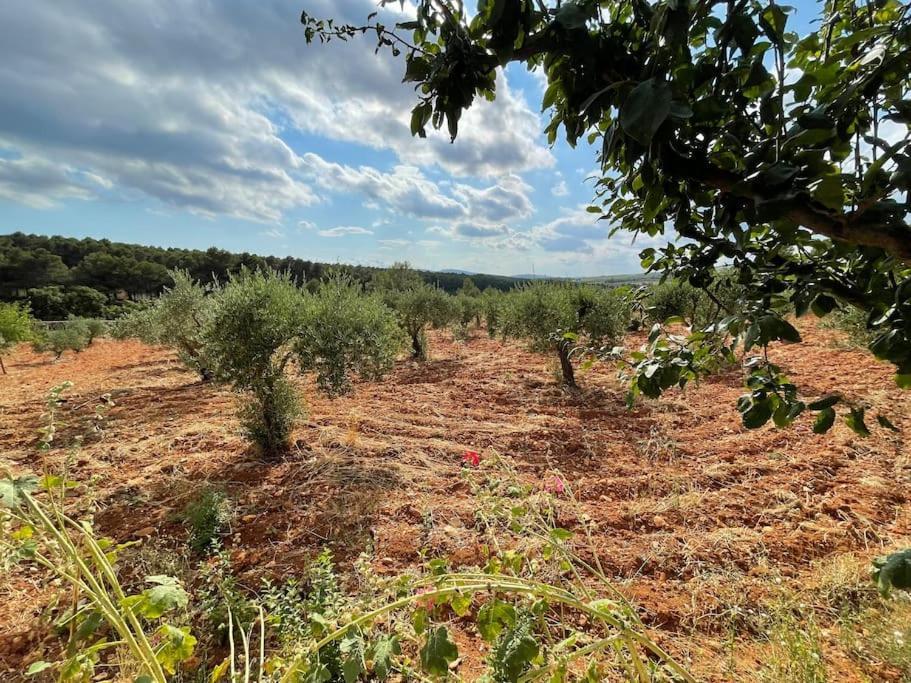 فيلا El-Cortijo Siete Aguas المظهر الخارجي الصورة